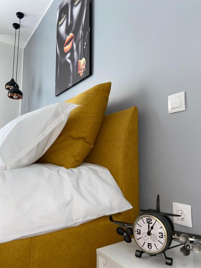 Qualis Apartament 布拉索夫 外观 照片