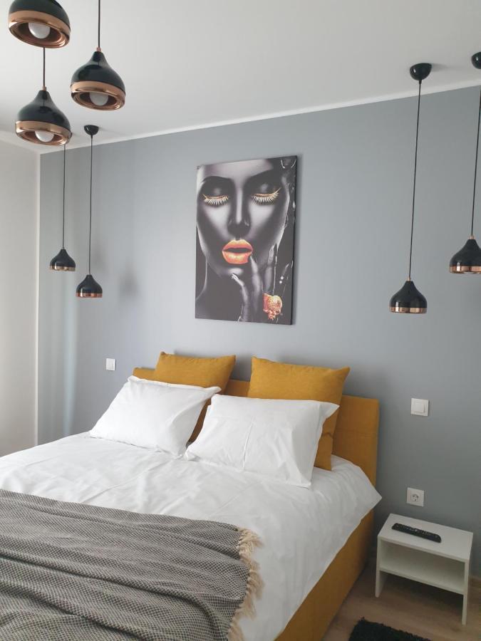 Qualis Apartament 布拉索夫 外观 照片