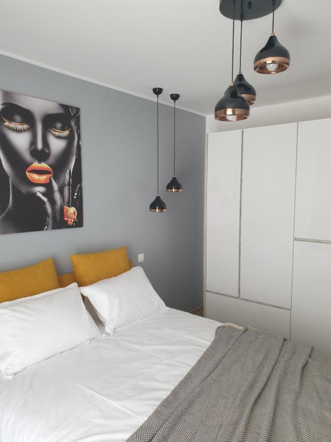 Qualis Apartament 布拉索夫 外观 照片