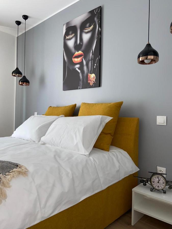 Qualis Apartament 布拉索夫 外观 照片