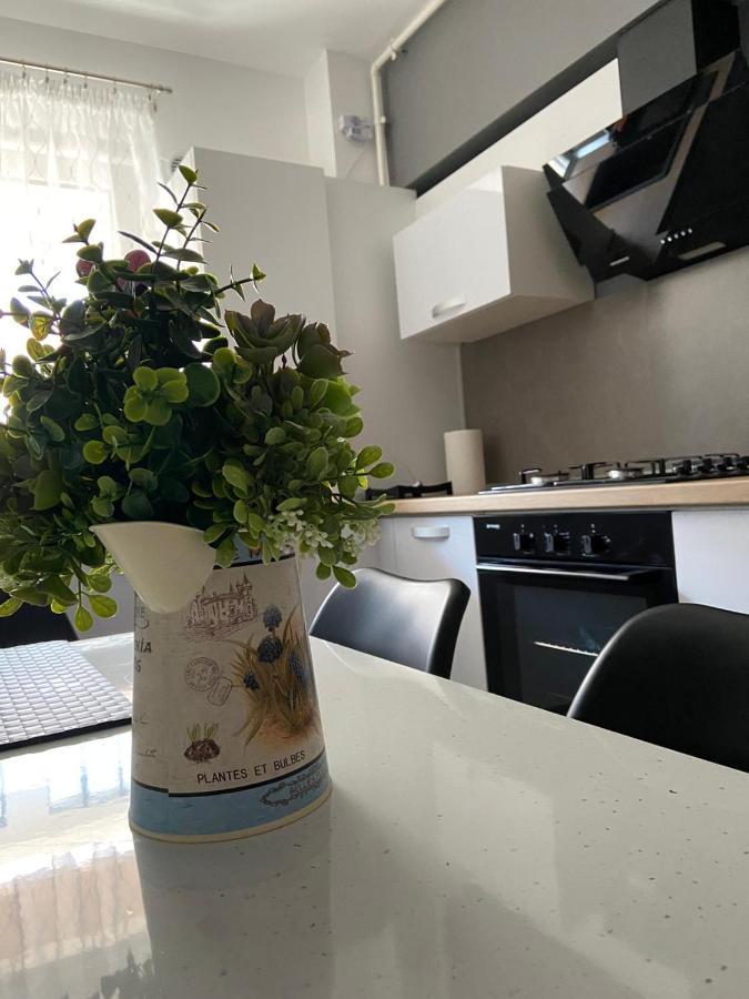 Qualis Apartament 布拉索夫 外观 照片